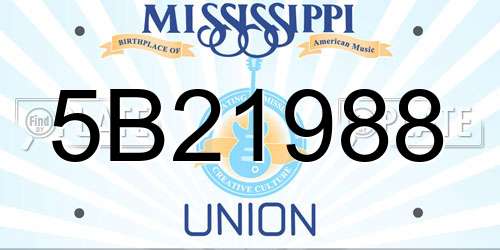 5B21988 Mississippi License Plate