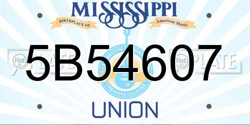 5B54607 Mississippi License Plate
