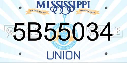 5B55034 Mississippi License Plate