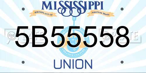 5B55558 Mississippi License Plate
