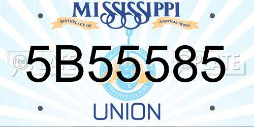 5B55585 Mississippi License Plate