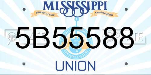 5B55588 Mississippi License Plate