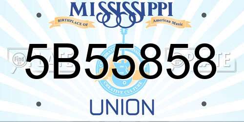 5B55858 Mississippi License Plate