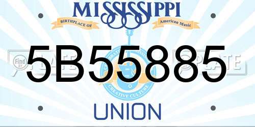 5B55885 Mississippi License Plate