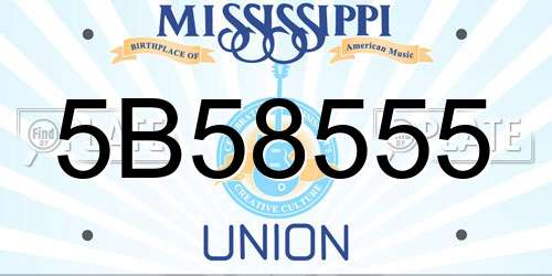 5B58555 Mississippi License Plate