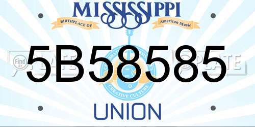 5B58585 Mississippi License Plate