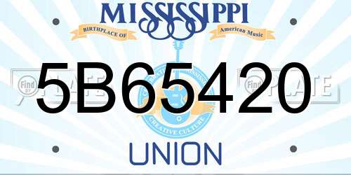 5B65420 Mississippi License Plate