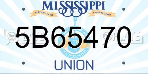 5B65470 Mississippi License Plate
