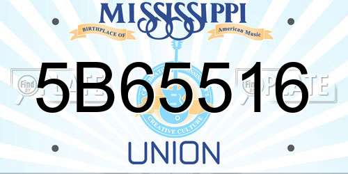 5B65516 Mississippi License Plate