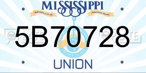 5B70728 Mississippi License Plate