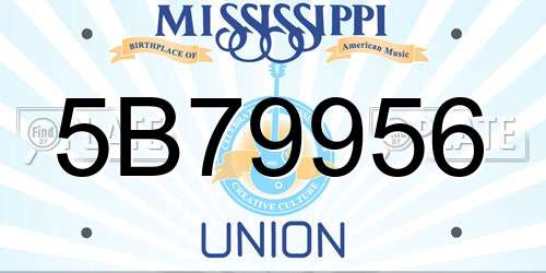 5B79956 Mississippi License Plate
