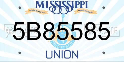 5B85585 Mississippi License Plate