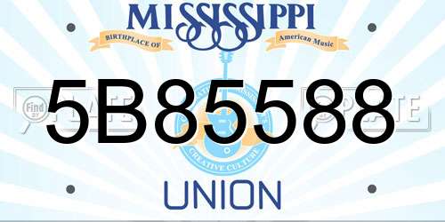 5B85588 Mississippi License Plate