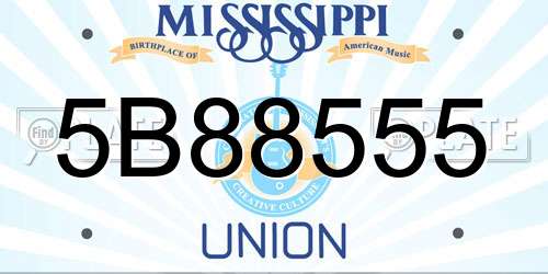 5B88555 Mississippi License Plate