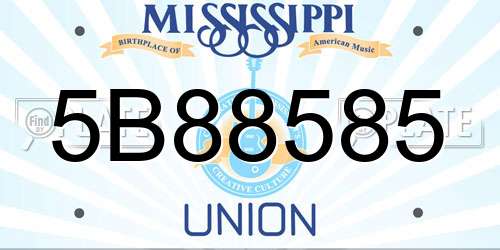 5B88585 Mississippi License Plate