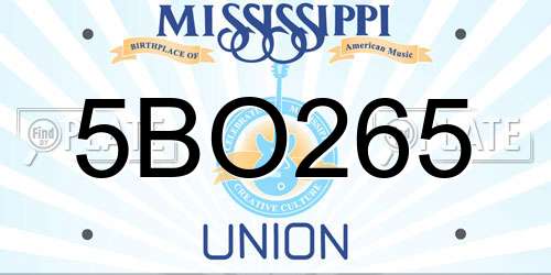5BO265 Mississippi License Plate