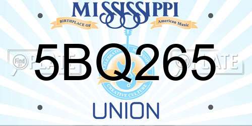 5BQ265 Mississippi License Plate