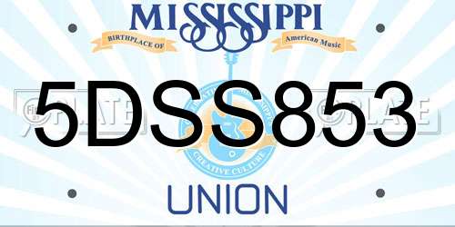 5DSS853 Mississippi License Plate