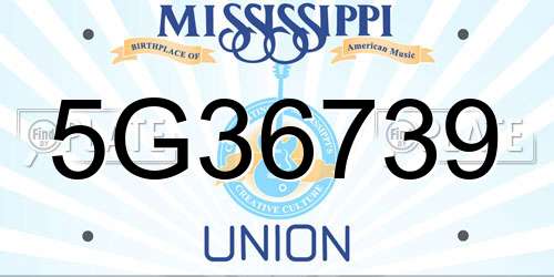 5G36739 Mississippi License Plate