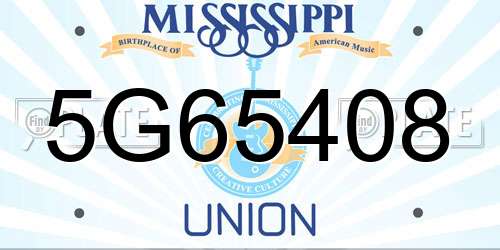 5G65408 Mississippi License Plate