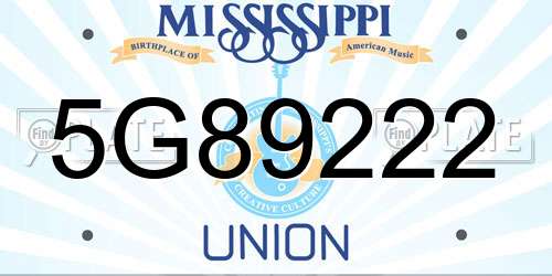 5G89222 Mississippi License Plate