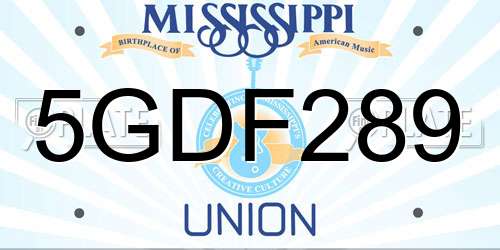 5GDF289 Mississippi License Plate