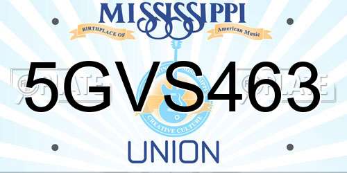 5GVS463 Mississippi License Plate