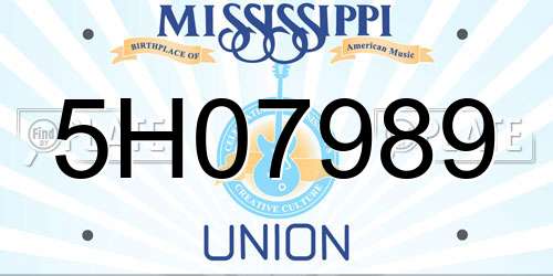5H07989 Mississippi License Plate