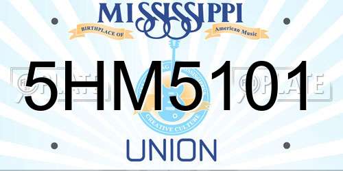 5HM5101 Mississippi License Plate