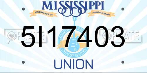 5I17403 Mississippi License Plate