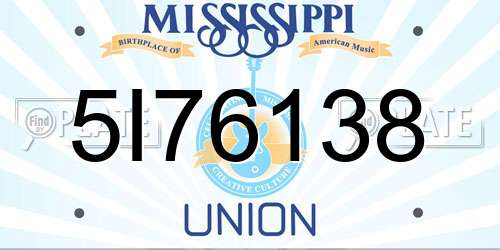 5I76138 Mississippi License Plate