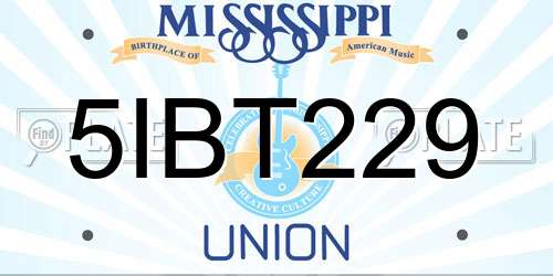 5IBT229 Mississippi License Plate