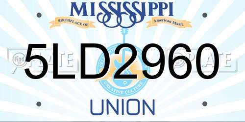 5LD2960 Mississippi License Plate