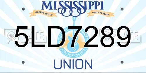 5LD7289 Mississippi License Plate