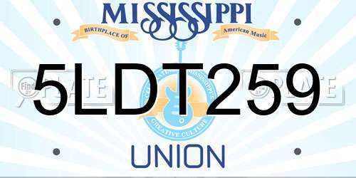 5LDT259 Mississippi License Plate