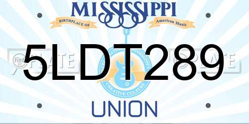 5LDT289 Mississippi License Plate