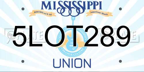 5LOT289 Mississippi License Plate