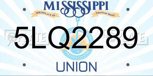 5LQ2289 Mississippi License Plate