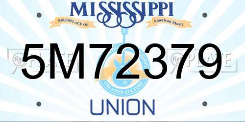 5M72379 Mississippi License Plate