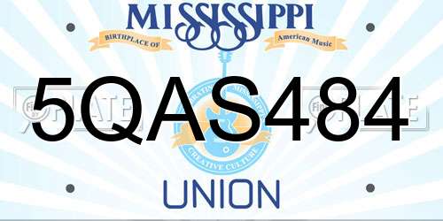 5QAS484 Mississippi License Plate