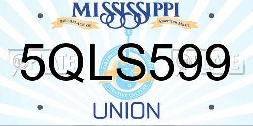 5QLS599 Mississippi License Plate