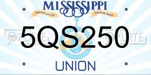 5QS250 Mississippi License Plate