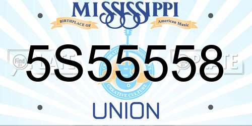 5S55558 Mississippi License Plate