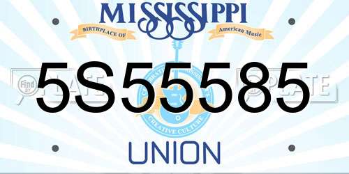 5S55585 Mississippi License Plate