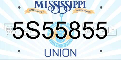5S55855 Mississippi License Plate