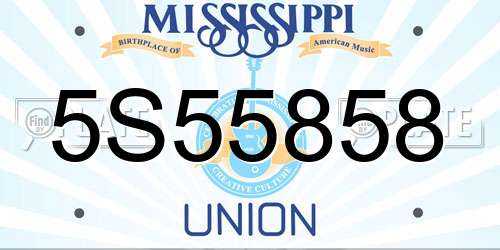 5S55858 Mississippi License Plate