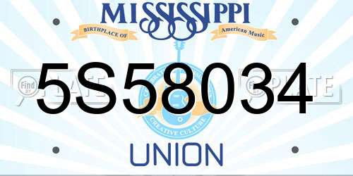5S58034 Mississippi License Plate
