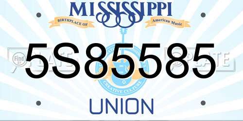 5S85585 Mississippi License Plate