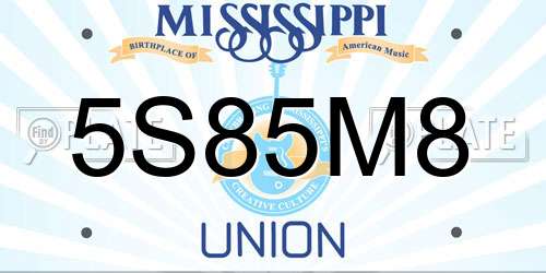 5S85M8 Mississippi License Plate
