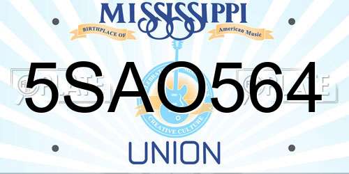 5SAO564 Mississippi License Plate